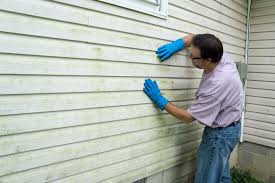 Best Storm Damage Siding Repair  in Stro Valley, CA